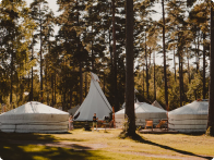 和寵物去露營 - 大自然之旅